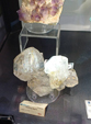  23º GENOVA MINERALSHOW. 