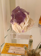  23º GENOVA MINERALSHOW. 