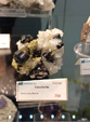  23º GENOVA MINERALSHOW. 