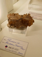  23º GENOVA MINERALSHOW. 