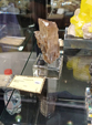  23º GENOVA MINERALSHOW. 