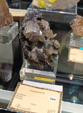  23º GENOVA MINERALSHOW. 