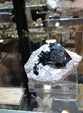  23º GENOVA MINERALSHOW. 