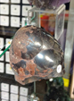  23º GENOVA MINERALSHOW. 