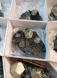  23º GENOVA MINERALSHOW. 