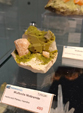  23º GENOVA MINERALSHOW. 