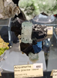  23º GENOVA MINERALSHOW. 