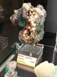  23º GENOVA MINERALSHOW. 