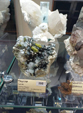  23º GENOVA MINERALSHOW. 