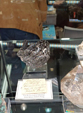  23º GENOVA MINERALSHOW. 