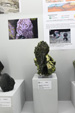 Zona de Exposiciones. Sainte-Marie-aux-Mines 2024