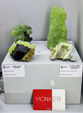    Zona de Exposiciones. Sainte-Marie-aux-Mines 2024