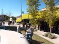 Mercadillo de Minerales. Centro Cultural las Cigarreras. Alicante