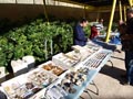 Mercadillo de Minerales. Centro Cultural las Cigarreras. Alicante