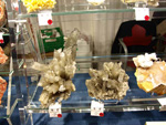 GMA. XV Feria de Minerales y Fósiles de la Unión