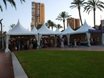 GMA. I Feria de Minerales, Fósiles y Gemas Mineralia el Campello