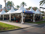 GMA. I Feria de Minerales, Fósiles y Gemas Mineralia el Campello