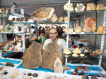 GMA. I Feria de Minerales, Fósiles y Gemas Mineralia el Campello