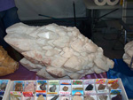 GMA. I Feria de Minerales, Fósiles y Gemas Mineralia el Campello