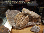   XVII Feria de Minerales y Fósiles. La Unión