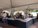 GMA. III Feria de Minerales, Fósiles y Gemas Mineralia el Campello