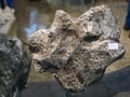 XVII feria de Minerales y fosiles de la Union.