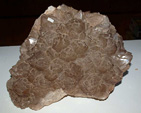 GMA. XX Mesa de Minerales de Monteluz