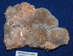 GMA. XX Mesa de Minerales de Monteluz