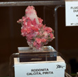 GMA. III Feria de Minerales, Fósiles y Gemas de Oliva