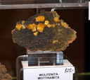 GMA. III Feria de Minerales, Fósiles y Gemas de Oliva