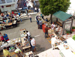 GMA. XXI Feria de Minerales y Fósiles de Monteluz