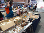 GMA. XXI Feria de Minerales y Fósiles de Monteluz