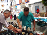 GMA. XXI Feria de Minerales y Fósiles de Monteluz