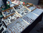 GMA. XXI Feria de Minerales y Fósiles de Monteluz