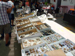 GMA. XXI Feria de Minerales y Fósiles de Monteluz