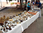 GMA. XXI Feria de Minerales y Fósiles de Monteluz