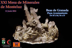 GMA. XXI Feria de Minerales y Fósiles de Monteluz