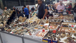 GMA. EXPOMINER BARCELONA MARKET. Salón Internacional de MInerales, Fósiles y Joyerías