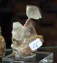 GMA. XXI Feria de Minerales y Fósiles de la Unión