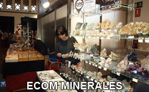 GMA. XXI Feria de Minerales y Fósiles de la Unión