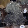 GMA. XXI Feria de Minerales y Fósiles de la Unión