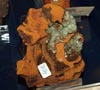 GMA. XXI Feria de Minerales y Fósiles de la Unión