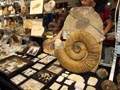 GMA. XXI Feria de Minerales y Fósiles de la Unión