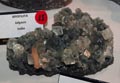 GMA. XXI Feria de Minerales y Fósiles de la Unión