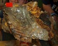 GMA. XXI Feria de Minerales y Fósiles de la Unión