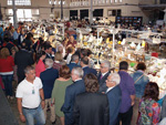 GMA. XXI Feria de Minerales y Fósiles de la Unión