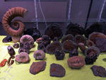 GMA. MINERALIA´s SEVILLA. XXX Exposición-Bolsa Internacinal de Minerales, Fósiles y Gemas