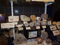 V Feria de Minerales de Oliva. Stand de Tesoros Naturales