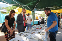 GMA. II Feria de Minerales de Cartama