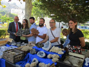 GMA. II Feria de Minerales de Cartama